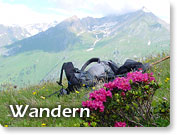 Wandern